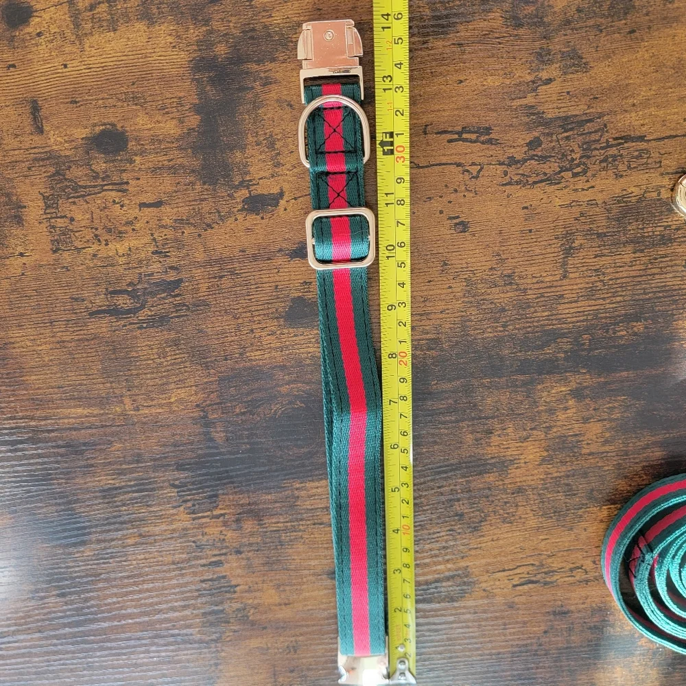 Last One! 2pcs Dog collar & leash Set